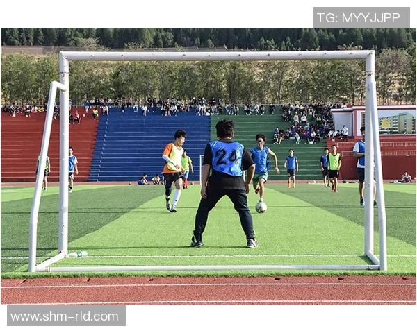 从草根少年到绿茵英雄描绘足球梦想蜕变成耀眼球星的励志之路