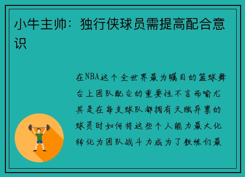 小牛主帅：独行侠球员需提高配合意识