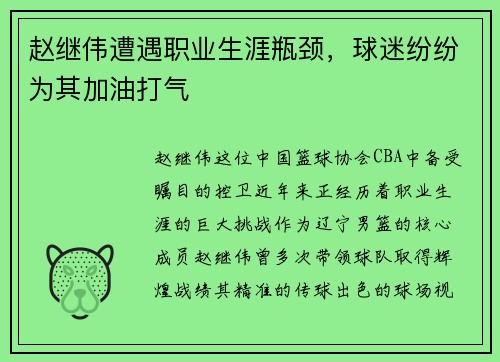 赵继伟遭遇职业生涯瓶颈，球迷纷纷为其加油打气